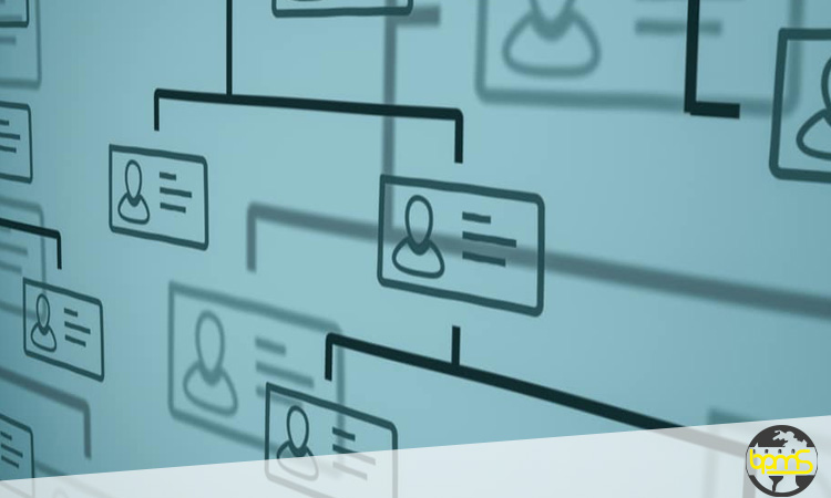 چرا چارت سازمانی در مدیریت اهمیت دارد؟