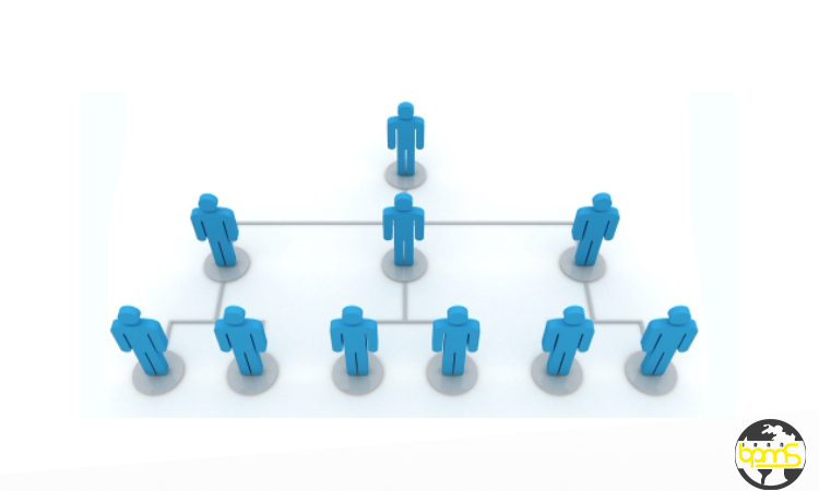 چارت سازمانی چیست و انواع آن کدامند؟