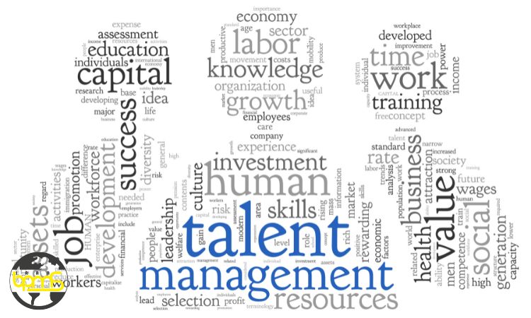 مدیریت استعداد چیست؟ 5 مرحله فرایند مدیریت استعداد