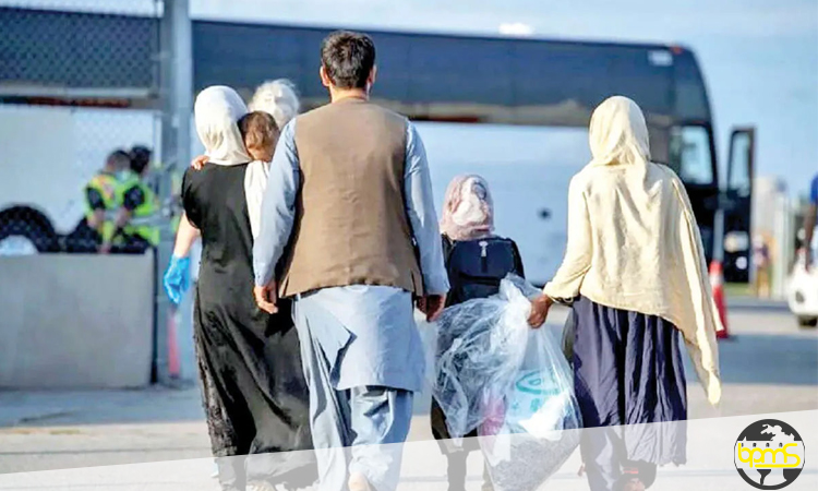 چگونه برای اتباع آموزش دیده مدارک بگیریم؟